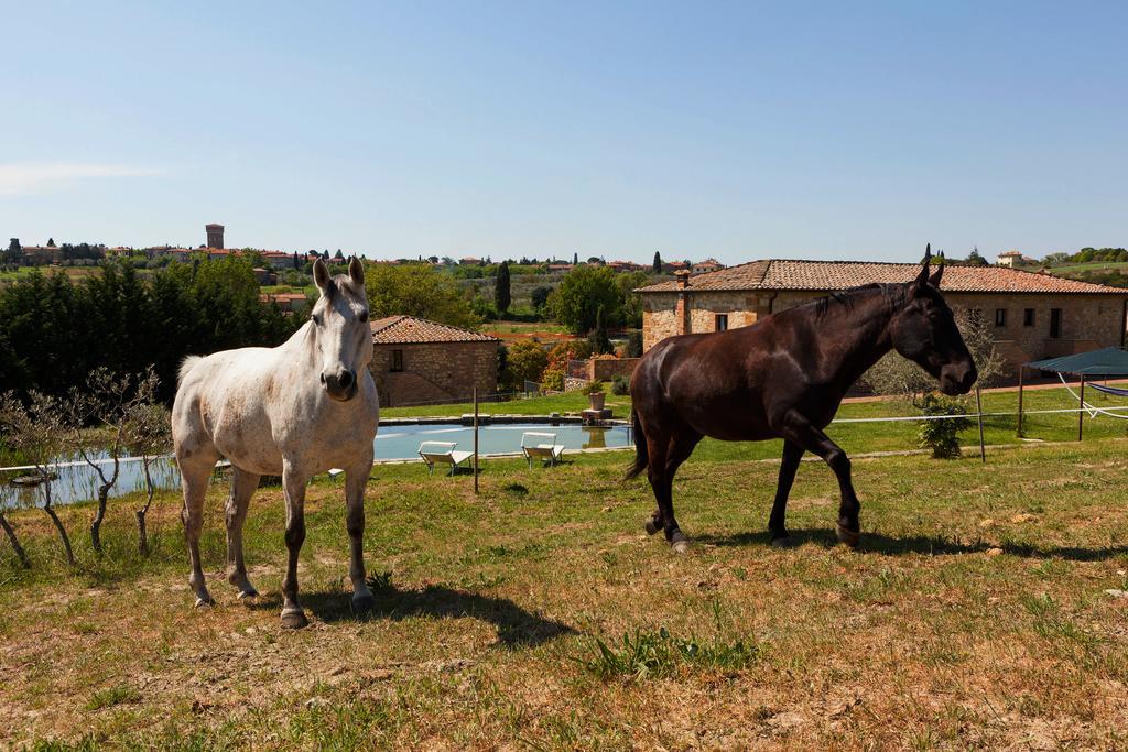 Agriturismo La Collina Pienza Ngoại thất bức ảnh