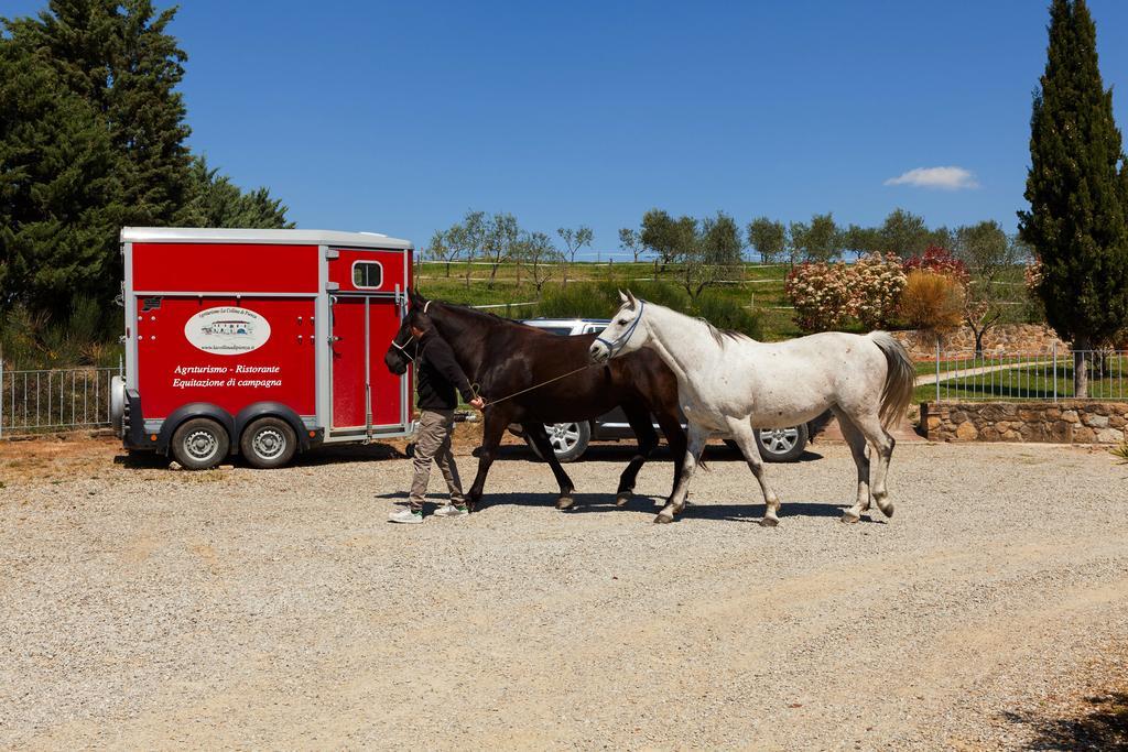 Agriturismo La Collina Pienza Ngoại thất bức ảnh